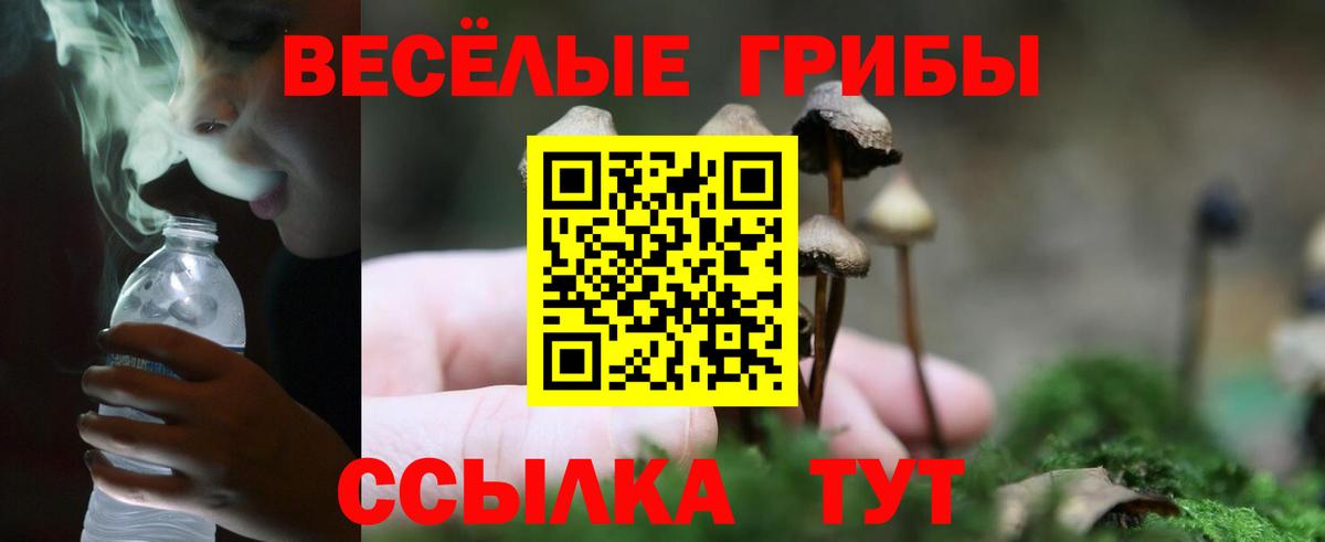 Псилоцибиновые грибы мухоморы Лиски